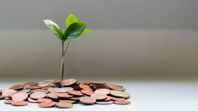 Passive Income Ideas That Actually Work
