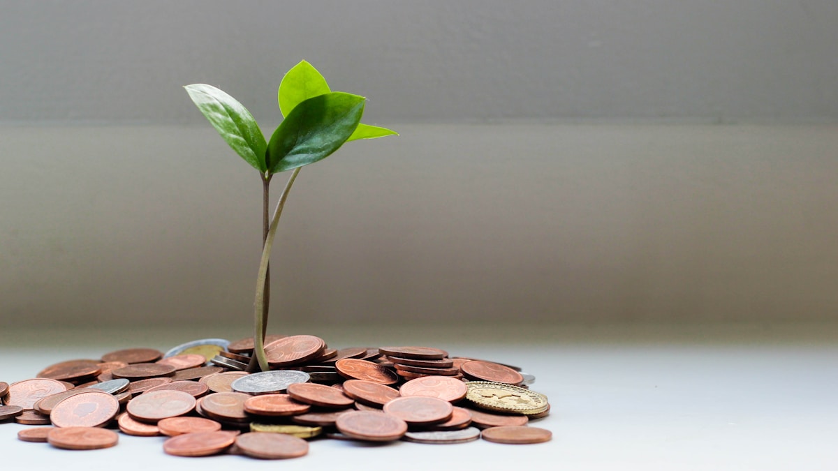 Passive Income Ideas That Actually Work